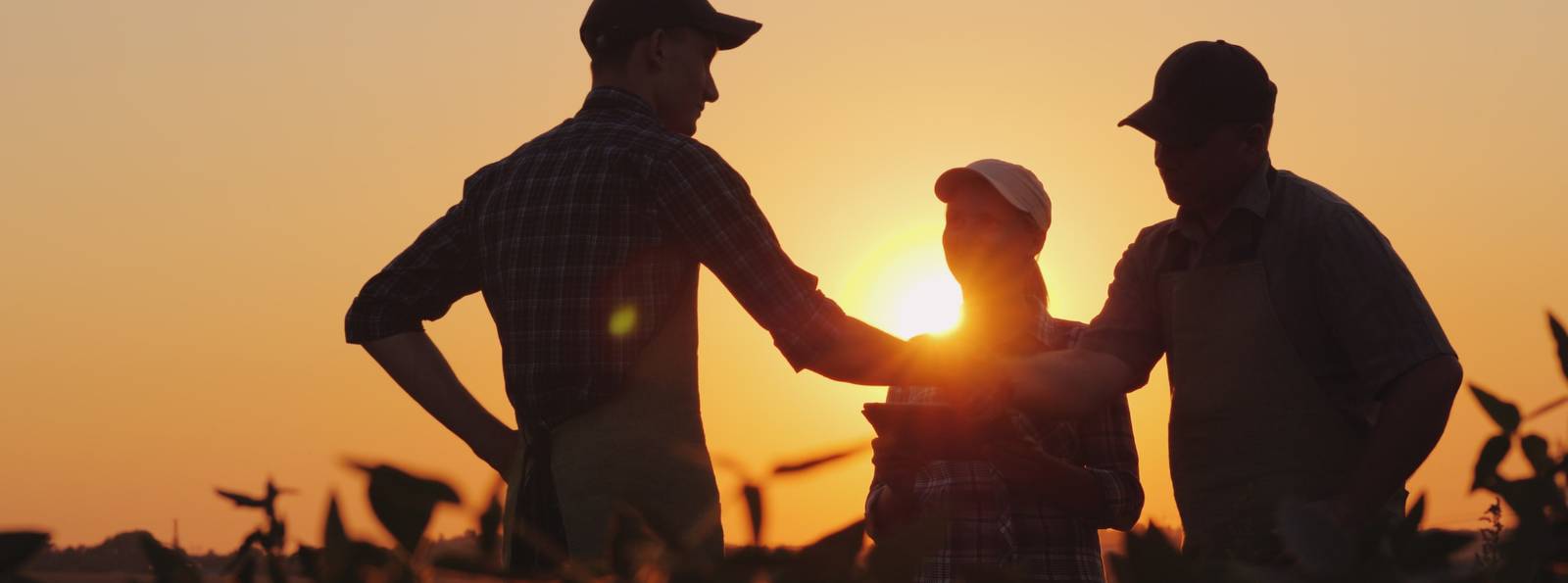 People out in a field. The two men are shaking hands and the woman has a tablet.