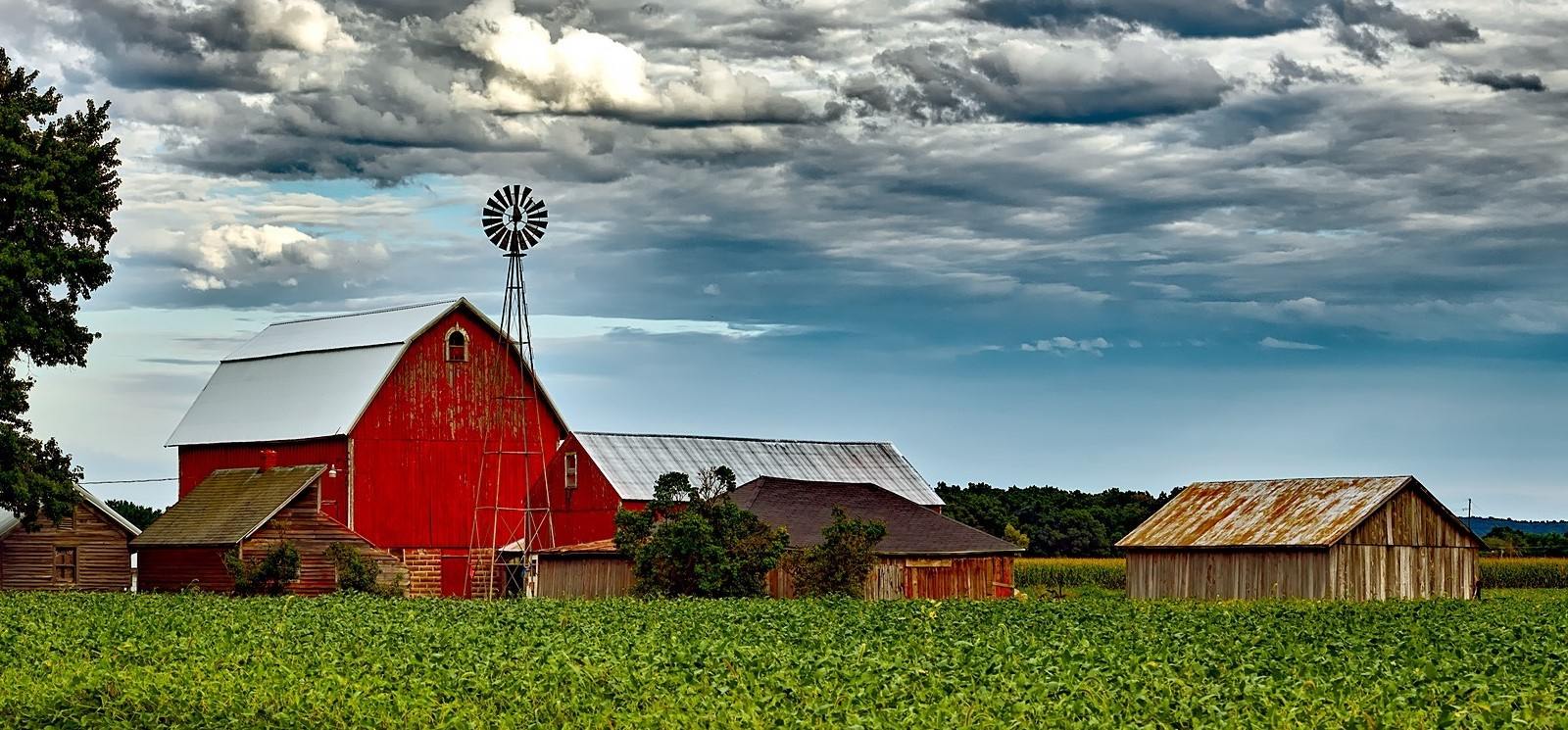 farm scene with red barn