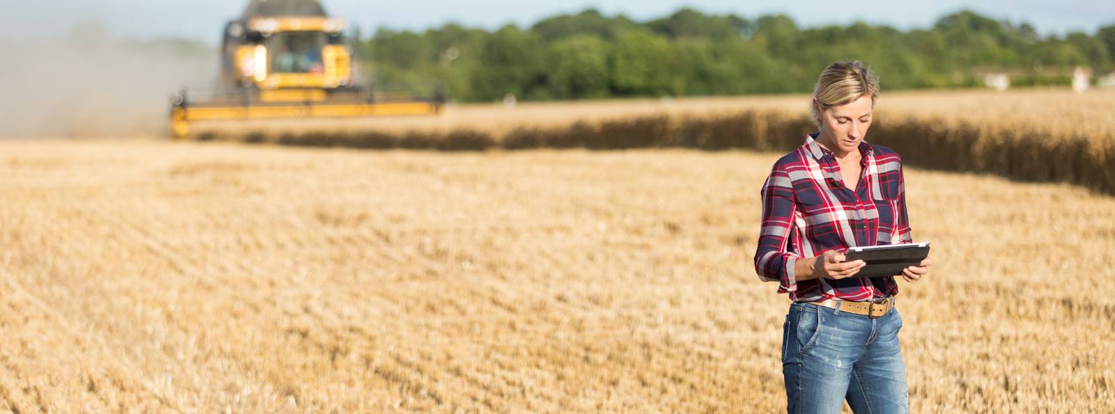 woman with a tablet standing in a wheat field with a combine behind her