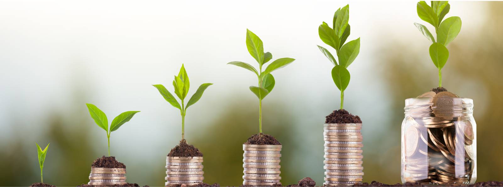 small plants on top of stacks of coins growing bigger in stages